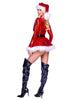 Holiday Vixen Costume 2pc