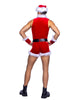 Beautiful Santa Costume 2pc